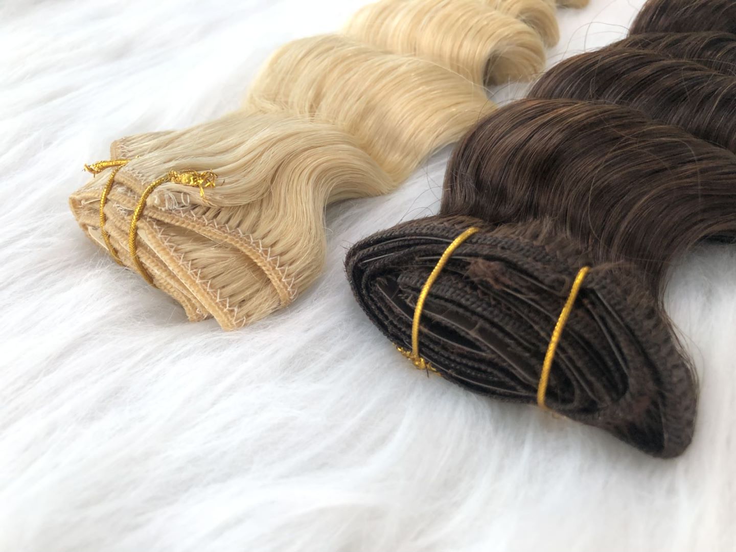 Extensions de couleurs Remy Clip ins